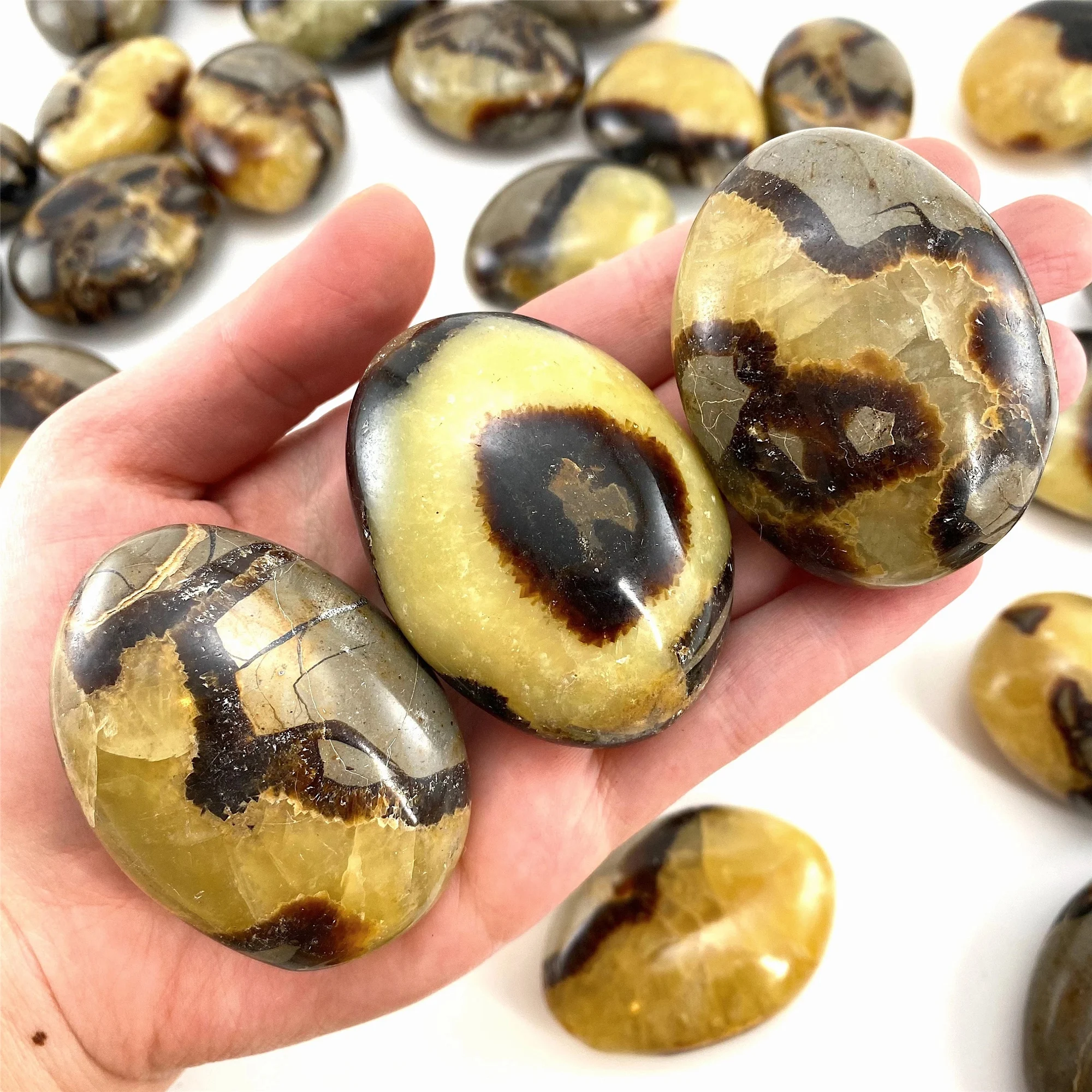 

1Pc Septarian Palm Stone, Stone for jewelry making, Massage Rocks, Ideal for Home Decoration, Stone Collectibles