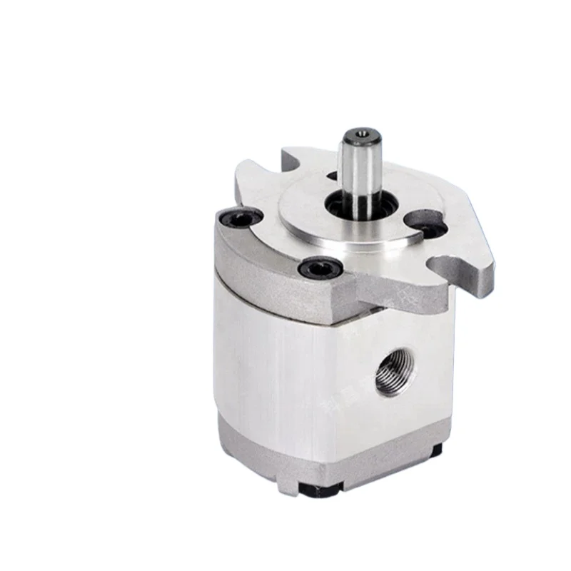 HGP-1A Hydraulic Gear Pump High Pressure Booster Oil Pump High Viscosity Fluid Gear Pump for Automated Machinery Equipment