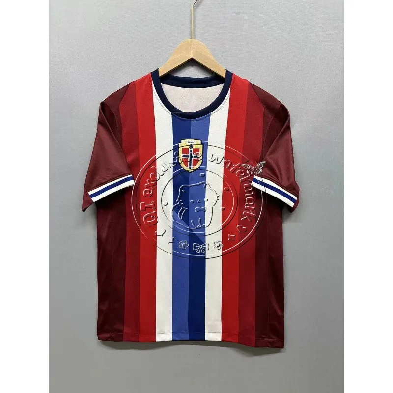 

2025 New Erling Haaland Norway National Team Home 3D Printed Jersey Motorcycle Short Sleeved Breathable Men's and Women's Top