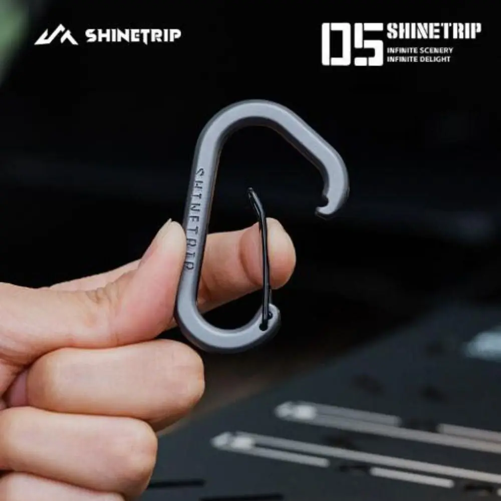 2pcs Stainless Steel Spring Snap Hook Black/Grey Metal D-shaped Connection Buckle Carabiner Safety Quick Release Diving Hook
