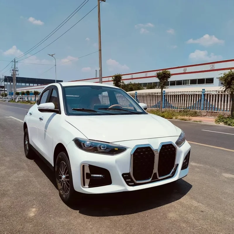 2026 BM Model Low Speed New Energy Car 3500W AC 4 Wheels Battery Adult Daily Use NEDC 401-500km 70-90kWh