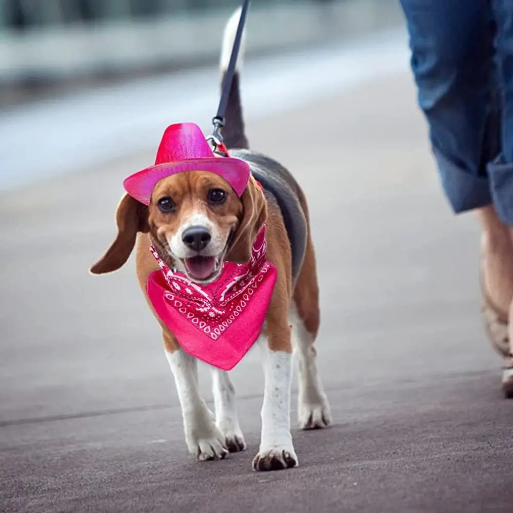 Western Style Pet Cowboy Hat Scarf Breathable Adjustable Dog Cowboy Costume Colorful Pet Sparkly Glitter Hat Halloween