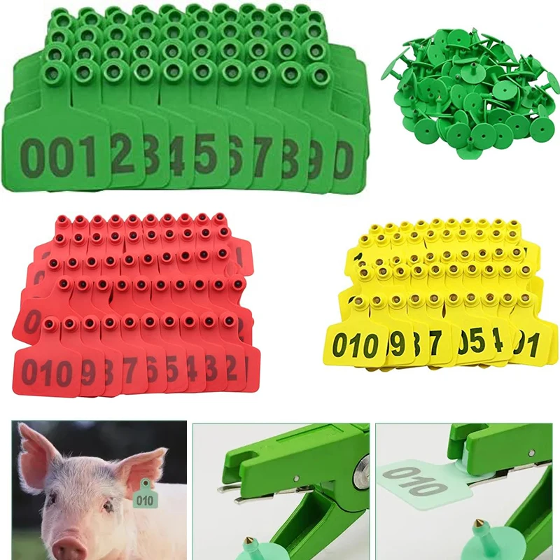 100PCS Large Plasti… - image