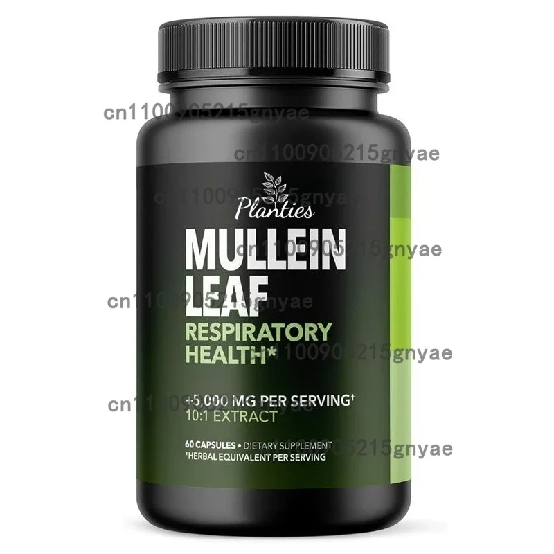 

Mullein Capsules - Supports Healthy Respiratory Function and Mucous Membranes and Promotes Lung Cleansing