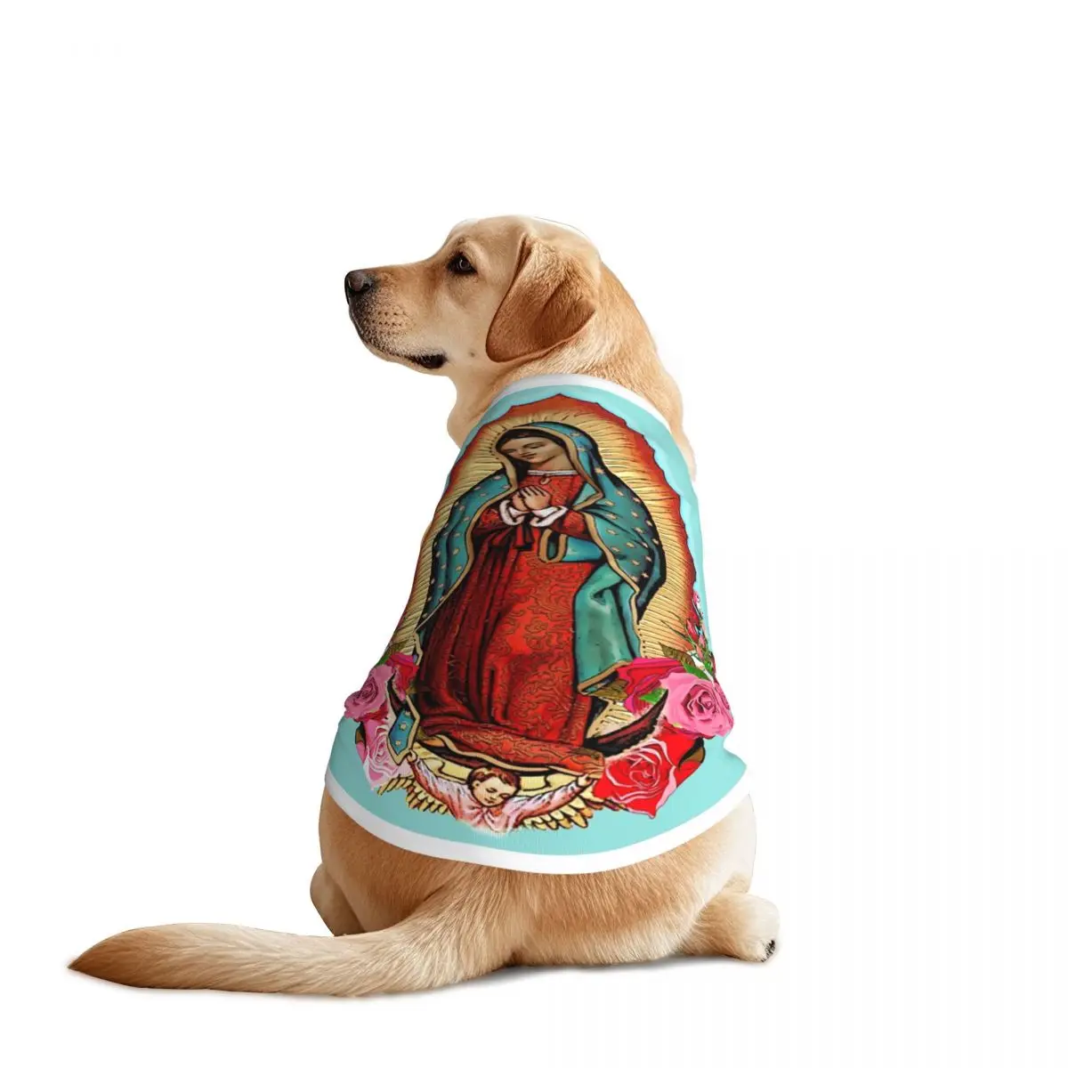 Chalecos para mascotas de la Virgen María de Guadalupe, chaqueta transpirable de México, ropa para perros grandes, decoración para suministros para mascotas