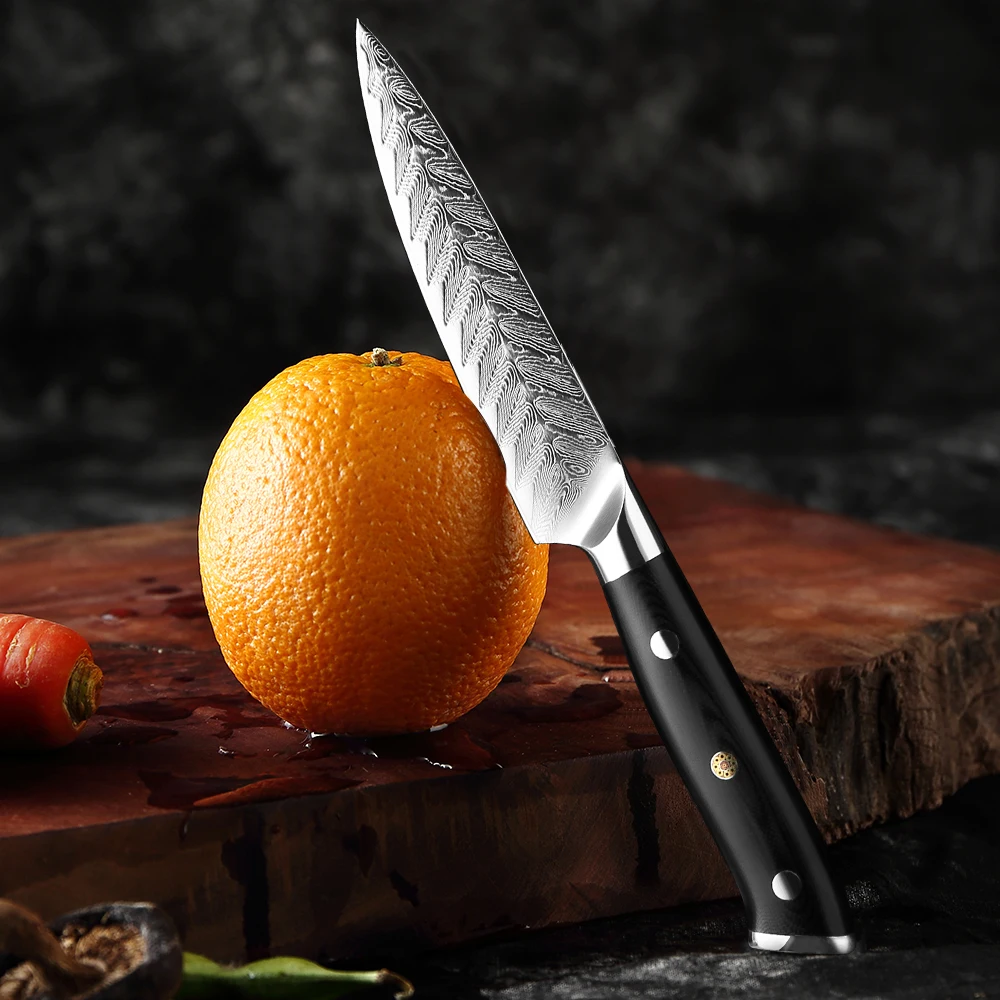 XITUO Damascus Kitchen Small Chef Knife 5 Inch Utility Knife Sharp Fruit Knife Peeling Knife Japanese Steel Ergonomic Handle