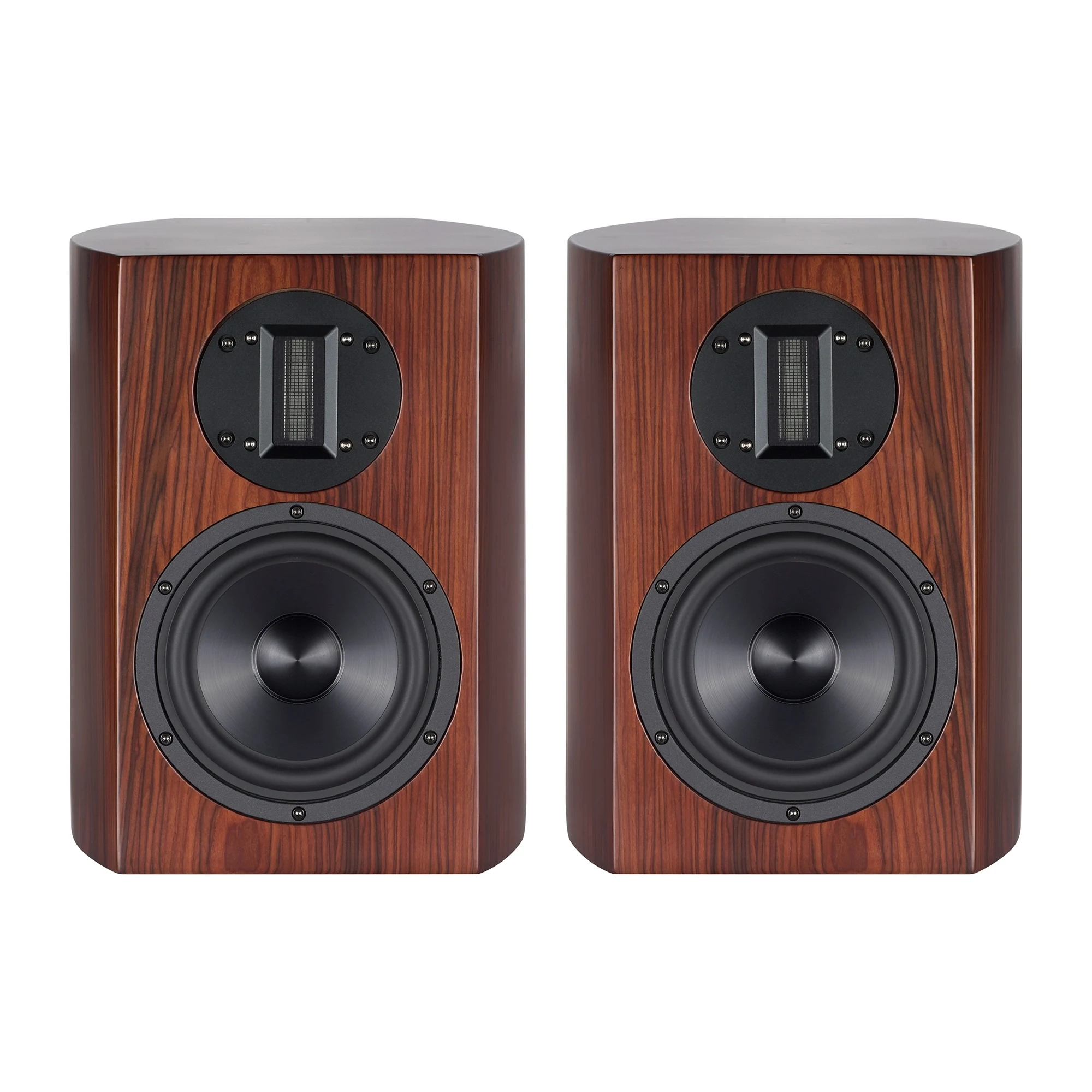 

Oscar B-65 Pro 6.5 Inch 2-Way HiFi Bookshelf Speakers set with AB1-EL84I