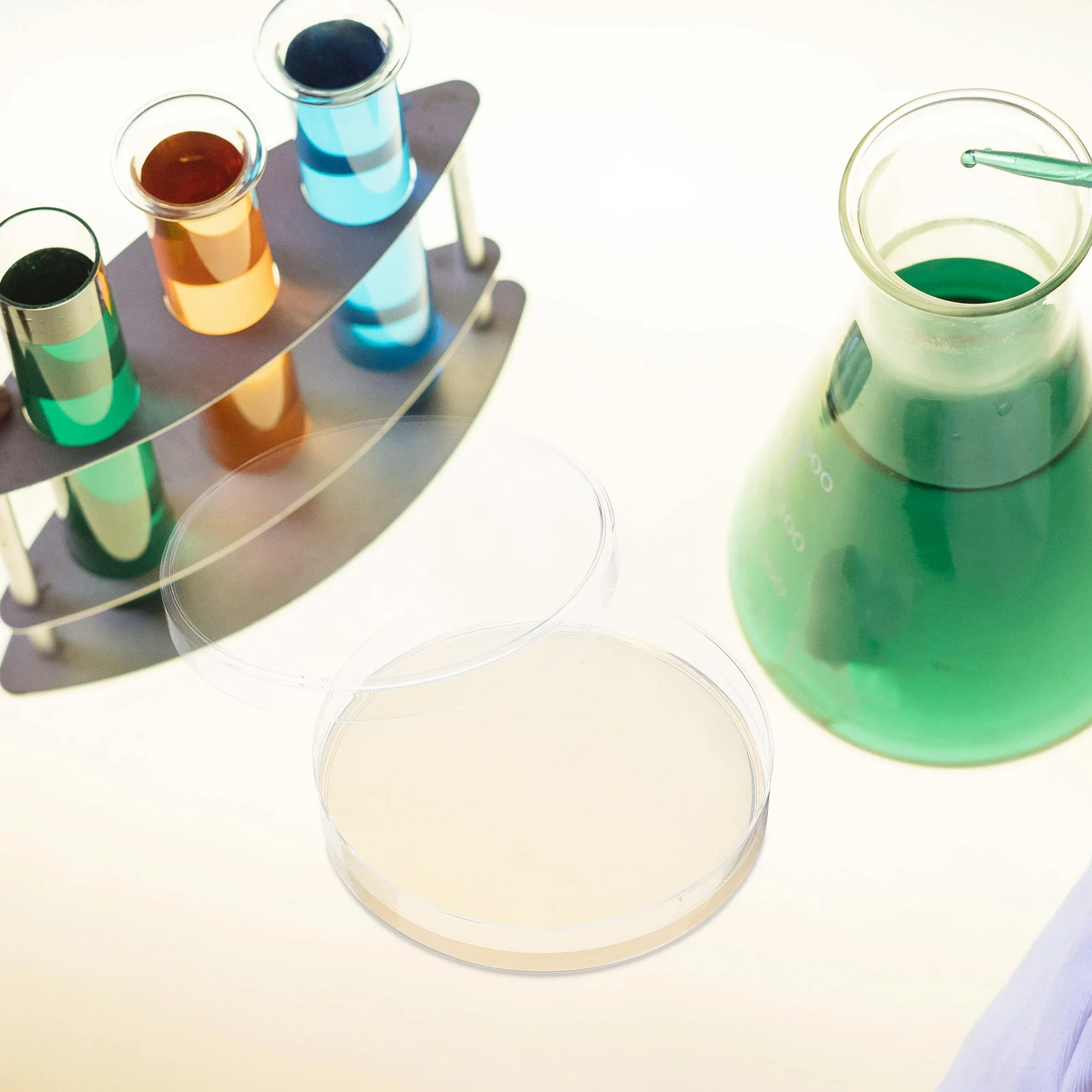 

10Pcs Agar Plates Disposable Nutrient Agar Medium for Biological Testing Lab Use Vacuum Packaged Sterile Bacterial Culture