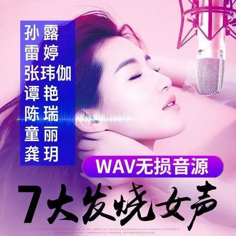 Test Machine Fever Music Car USB Stick Audition Female Voice Sun Lu Tongli Lei Ting Zhang Weijia Lossless WAV USB Stick
