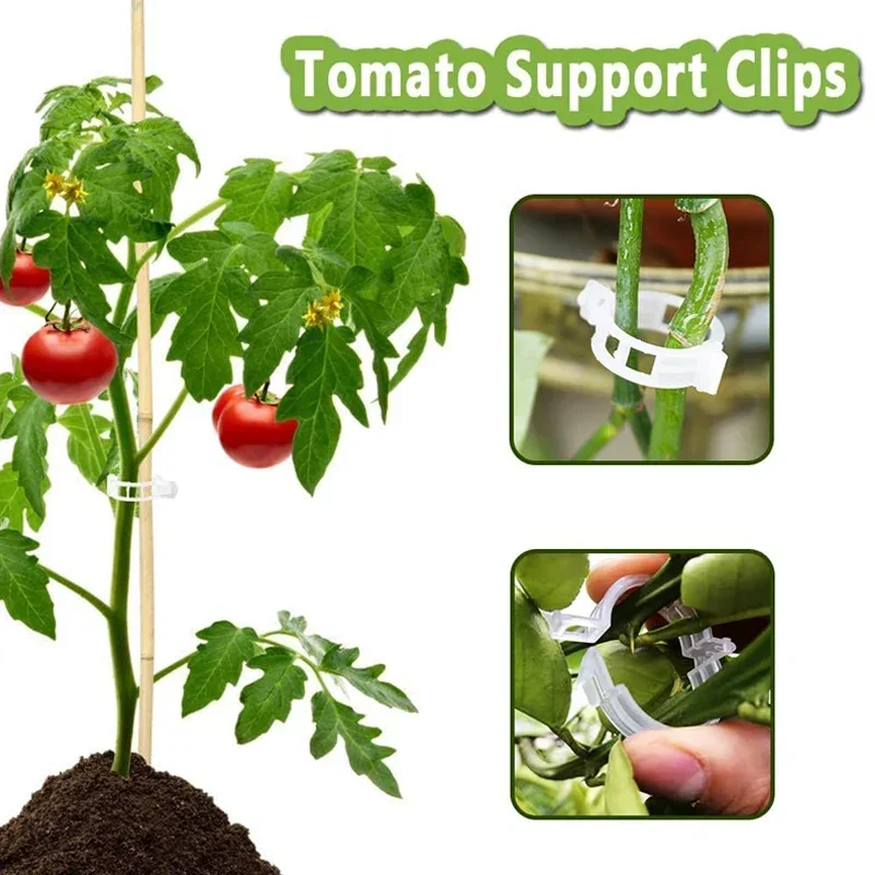 300/50PCS Plastic Plant Supports Clips Reusable Connects Plant Vine Protection Grafting Fixing Tool for Vegetable Tomato Garden