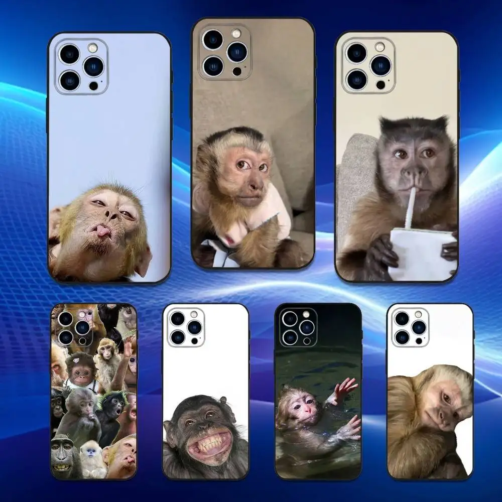 

C-Caprisun Monkey Sipping Phone Case For iPhone 17,16,15,14,13,12,11 Plus,Pro Max,XS,X,XR,SE,Mini,8,7,Soft Silicone Black Cover