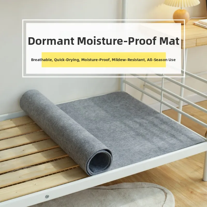 

Утолщенный войлочный матрас-протектор от плесени для студентов, влагостойкий коврик для разделения кроватей, современный простой дизайн, для офиса, из полиэфирного волокна