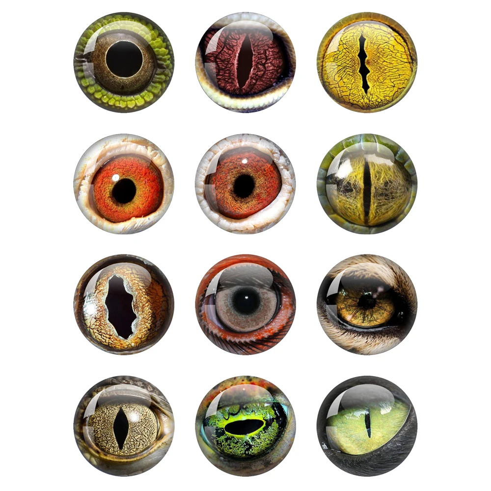 In Pairs Dragon Animal Eyes Dome Patterns 12mm/16mm/18mm/20mm/25mm Round Photo Glass Cabochon Demo Flat Back Making Findings