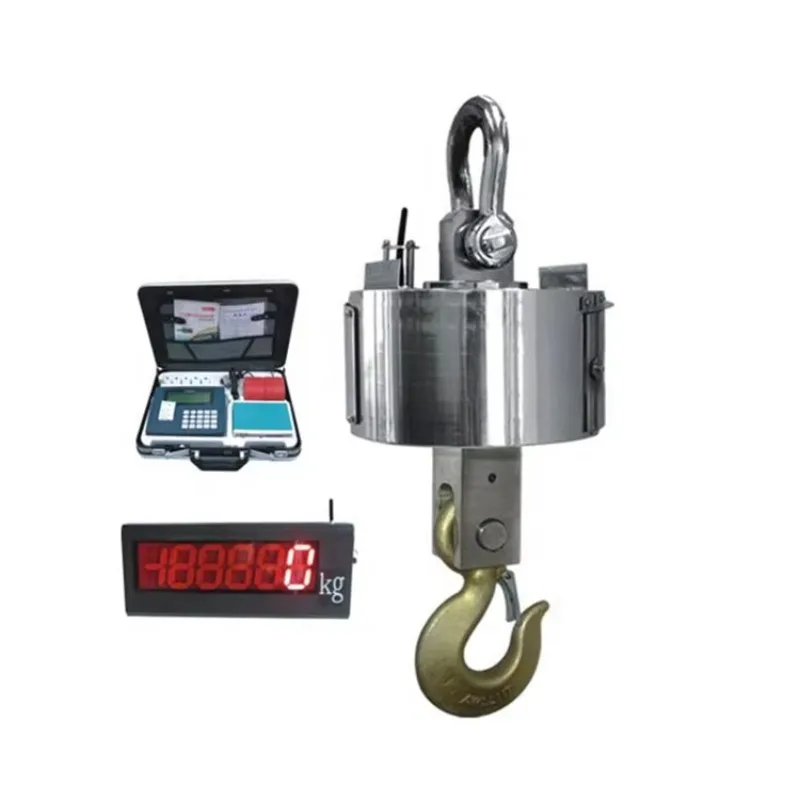 

Industry Heavy Lifting Scale 20 Ton Crane Scale