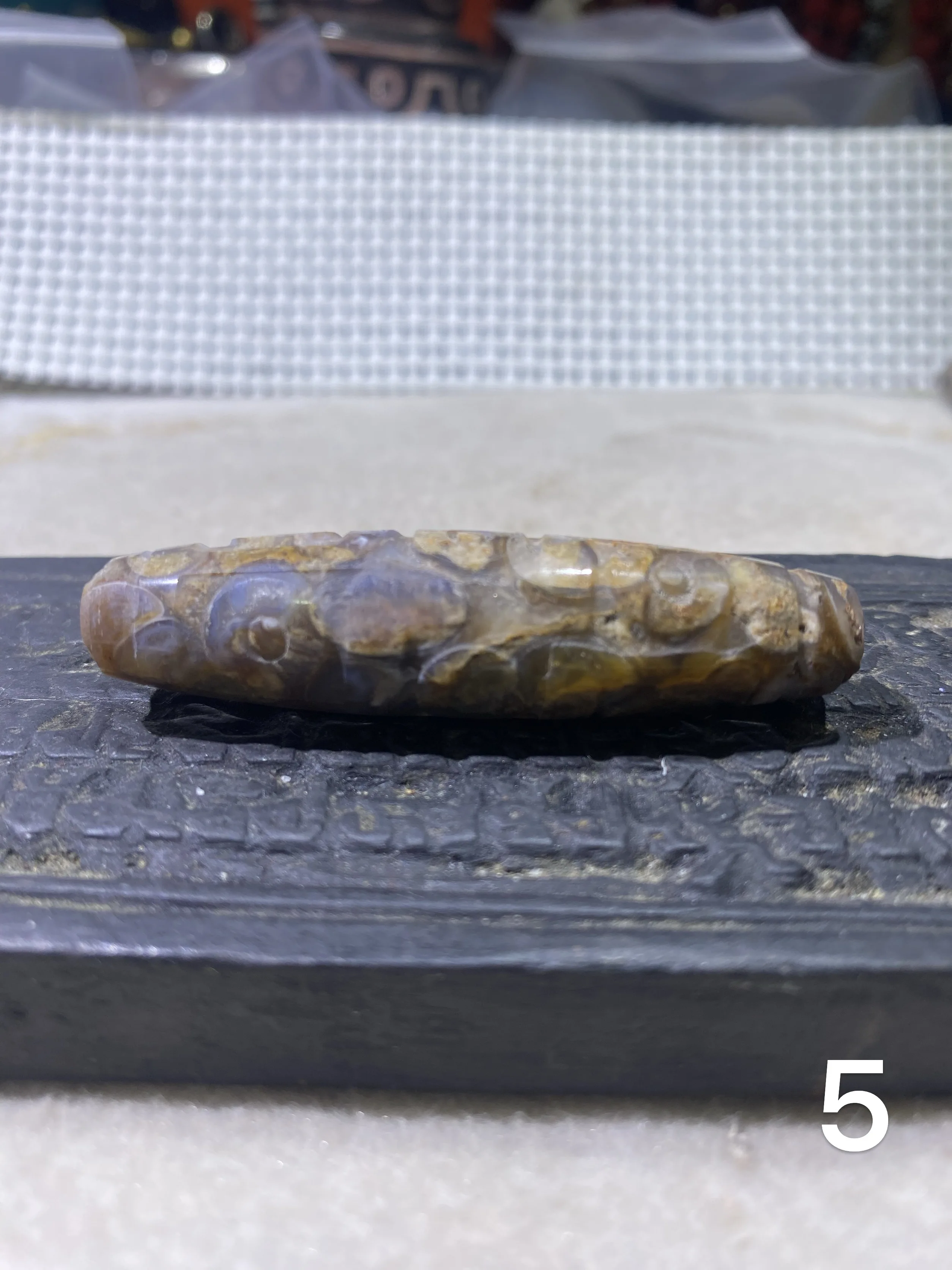 1pcs/lot Natural Conch Dzi most mysterious powerful energy Carved phoenix nine eyes pattern Rare special Loose beads Ethnic