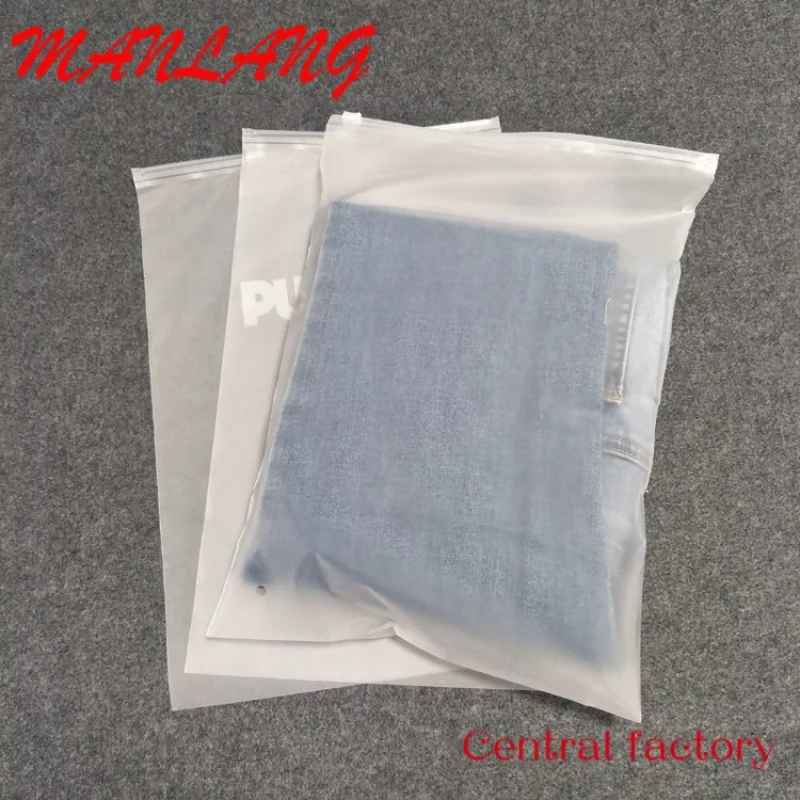 Custom  Custom Matte/Frosted Biodegradable Plastic Packaging Zipper Bags, T Shirt Swimwear Zip Lock Clothing Bags With Logo