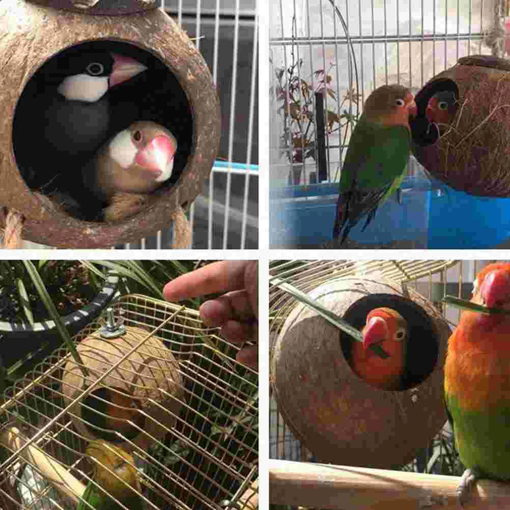 Animal de estimação para tejer pájaros de juguete nido colgante nido de bambú de madera para jaulas cáscara de coco