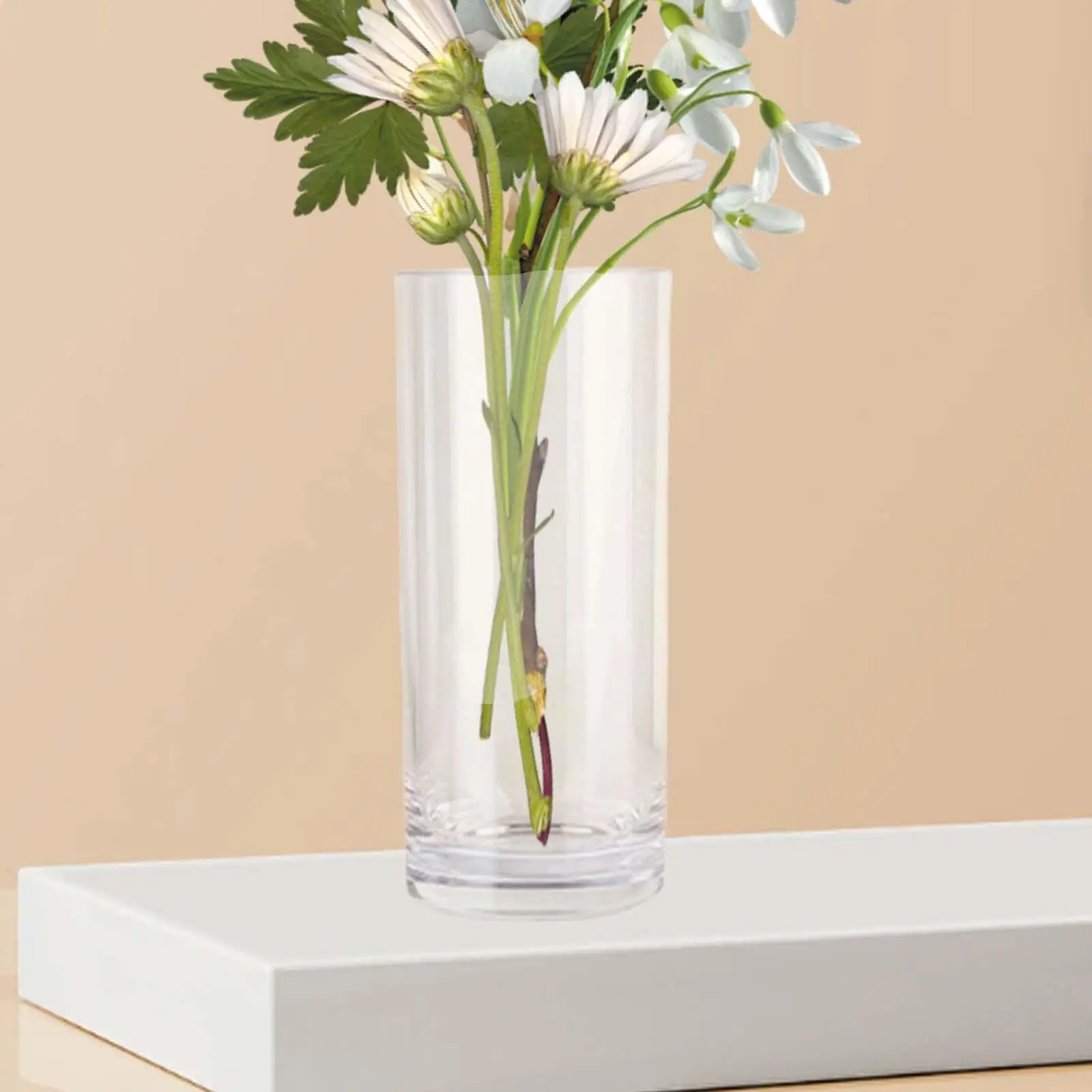 Acrylic Cylinder Vase, Tall Flower Vase, Plant Pot Holder, Indoor Minimalist Clear for Desktop Office Dorm Apartment