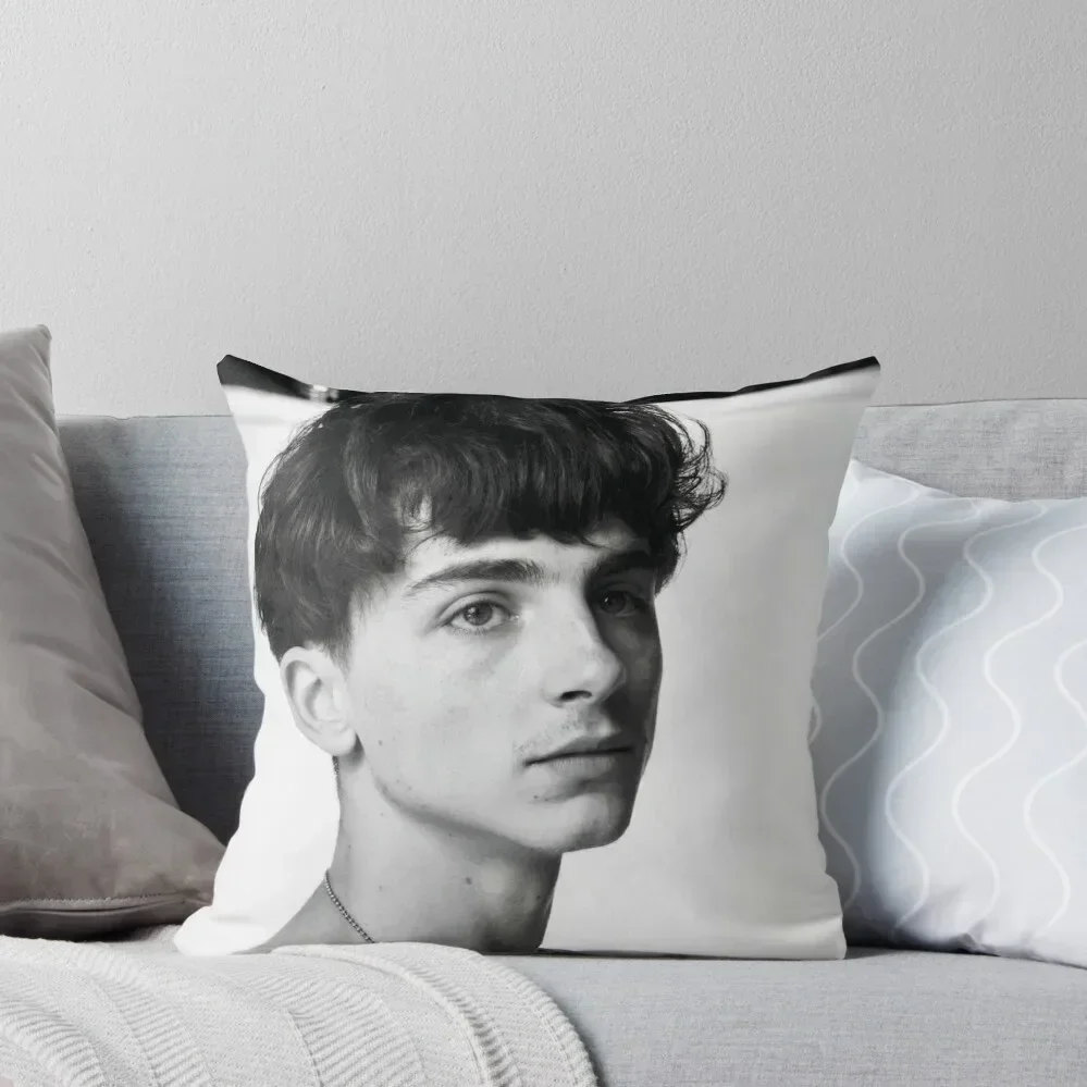 

Timothée Chalamet Throw Pillow Anime Decorative Cushions pillow