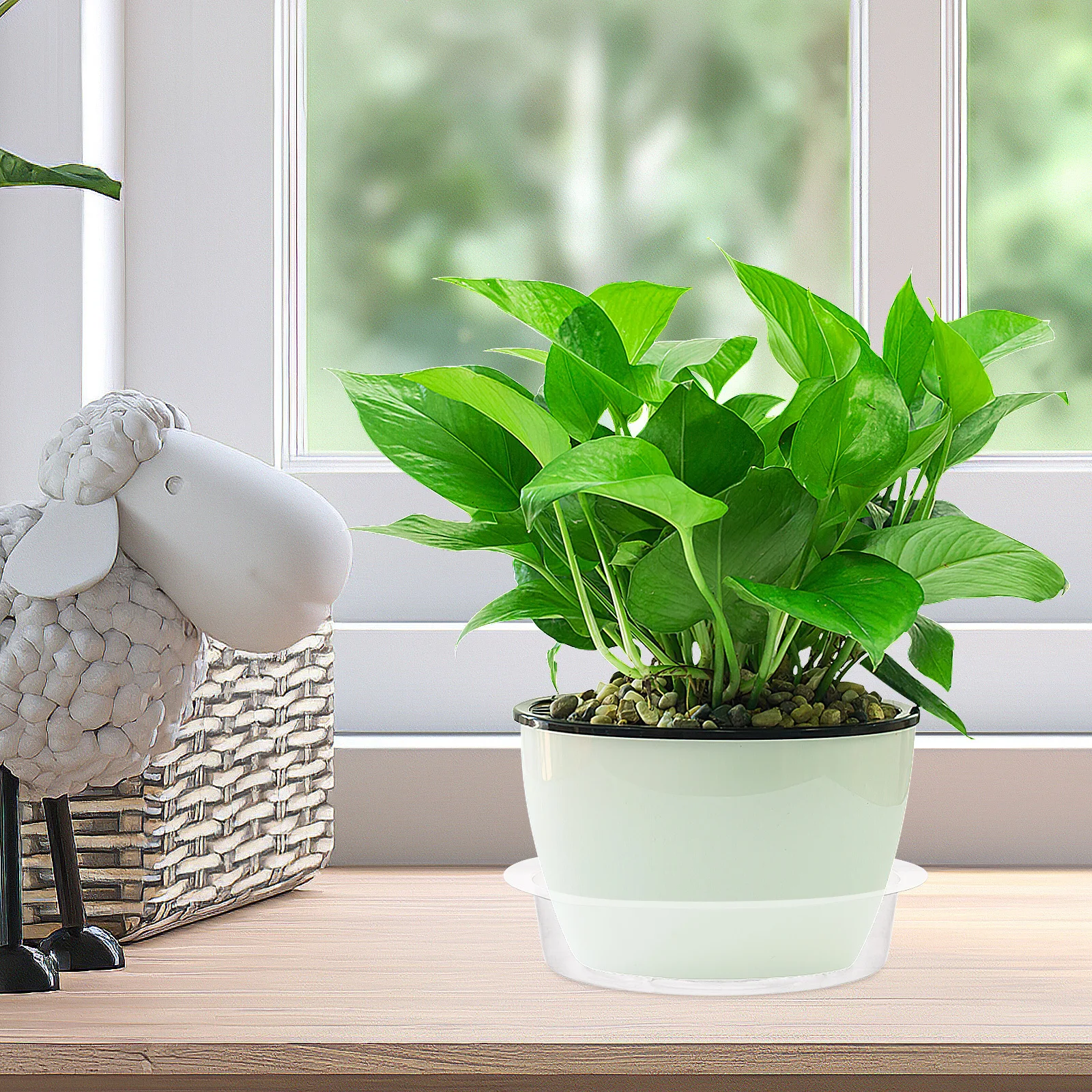 

50pcs Plastic Flowerpot Tray 6 Inch Transparent Waterproof Drip Tray For Plant Saucer Garden Accessories Succulent Pot