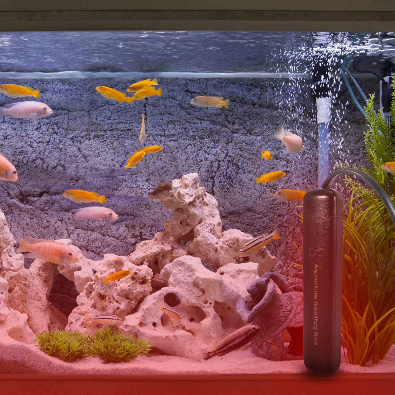 

Комплект: Автоматический нагреватель для аквариума с постоянной температурой, портативный, взрывозащищенный, из кварцевого стекла, с датчиком и присоской