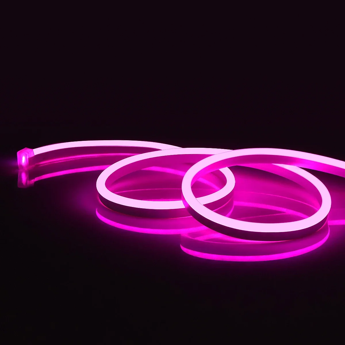 

12V Neon Light LED Strip Waterproof Rope Silicone Tube Neon Sign Flexible Lamp Home Decoration DC female Interface 1M-5M