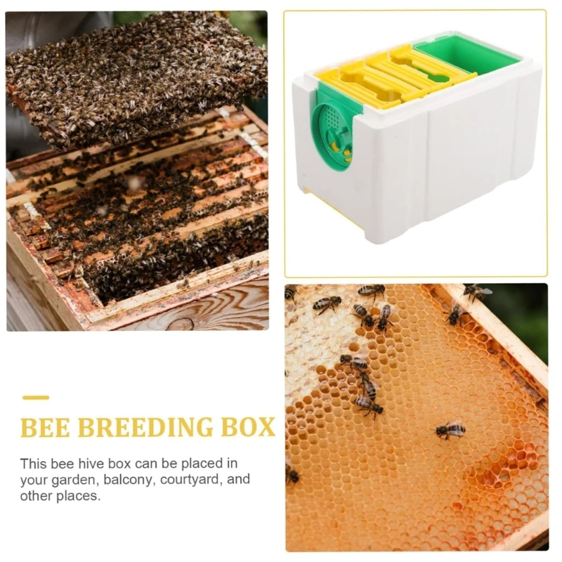 Boîte d'accouplement d'abeilles, dispositif apicole, boîte d'élevage d'abeilles en plastique, boîte d'élevage d'abeilles