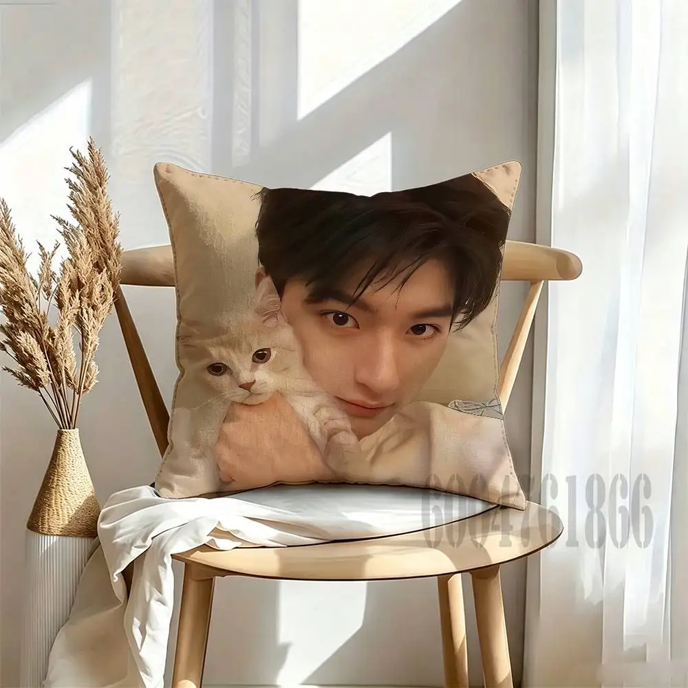 Lin Yi Anime Celebrity Merchandise All-Match Printed Pillow Case Sofa Car Office Room Decoration Protector