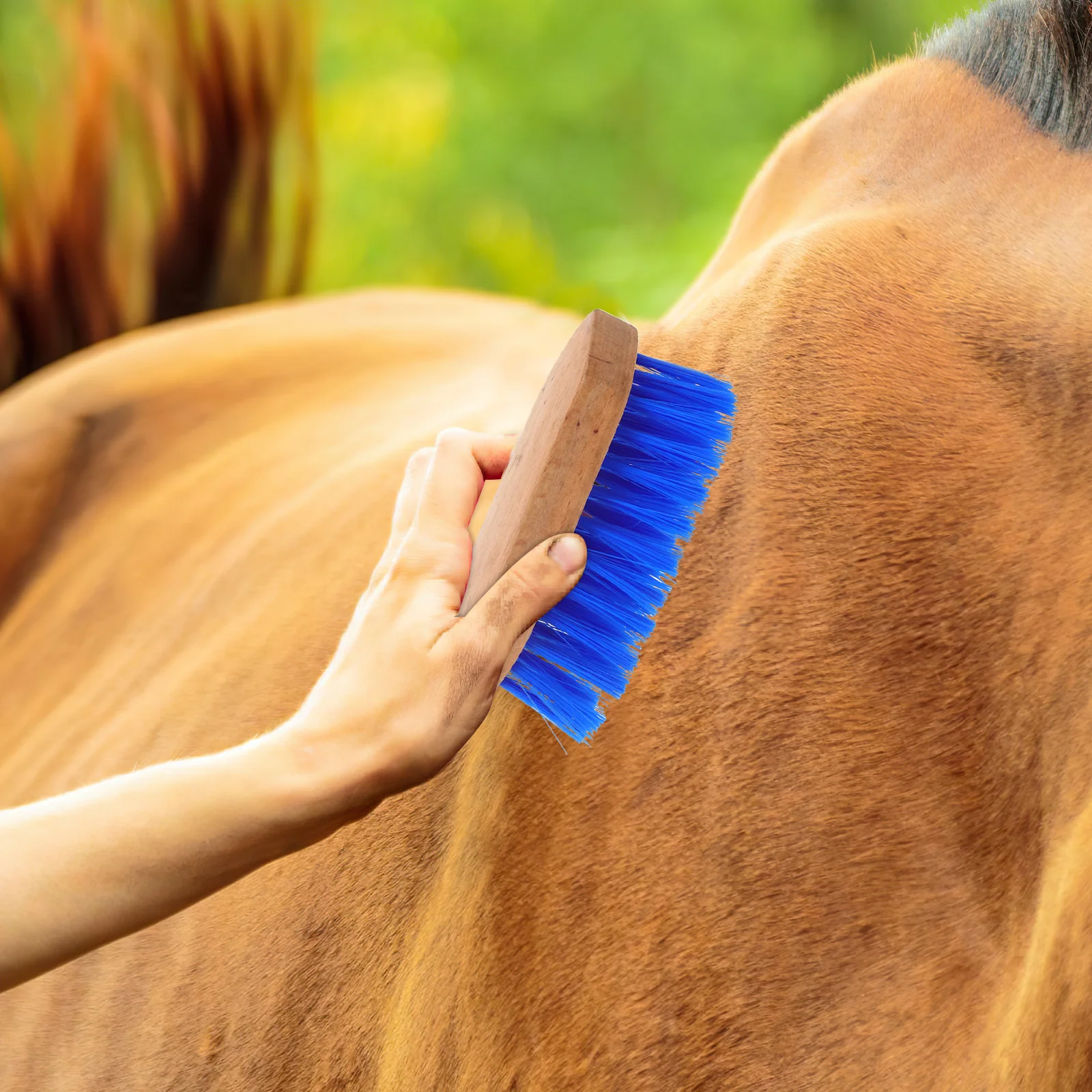 

Horse Grooming Brush Stiff Bristle Wooden Design Easy to Handle Cleaning Brush for Horse Hair Sweat and Dirt Removal