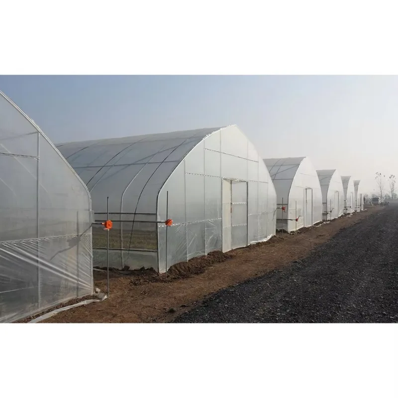 الدفيئة الزراعية على نطاق واسع البيت الساخن منزل دافئ تزايد خيمة مزرعة نفق البيت الأخضر