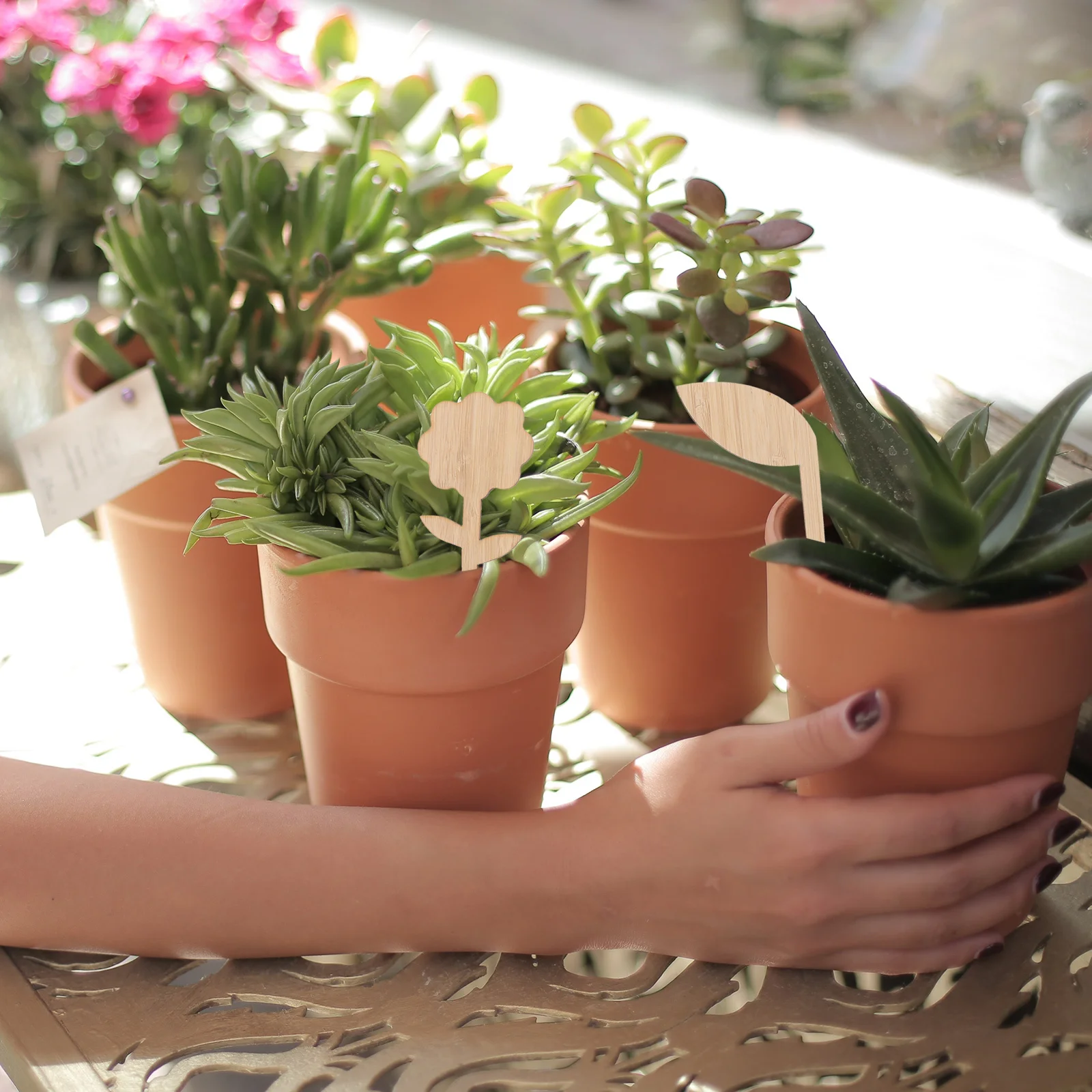 

20Pcs Bamboo Plant Labels Material Plant Markers for Seedlings Gardening Flowers Durable Decorative Tags