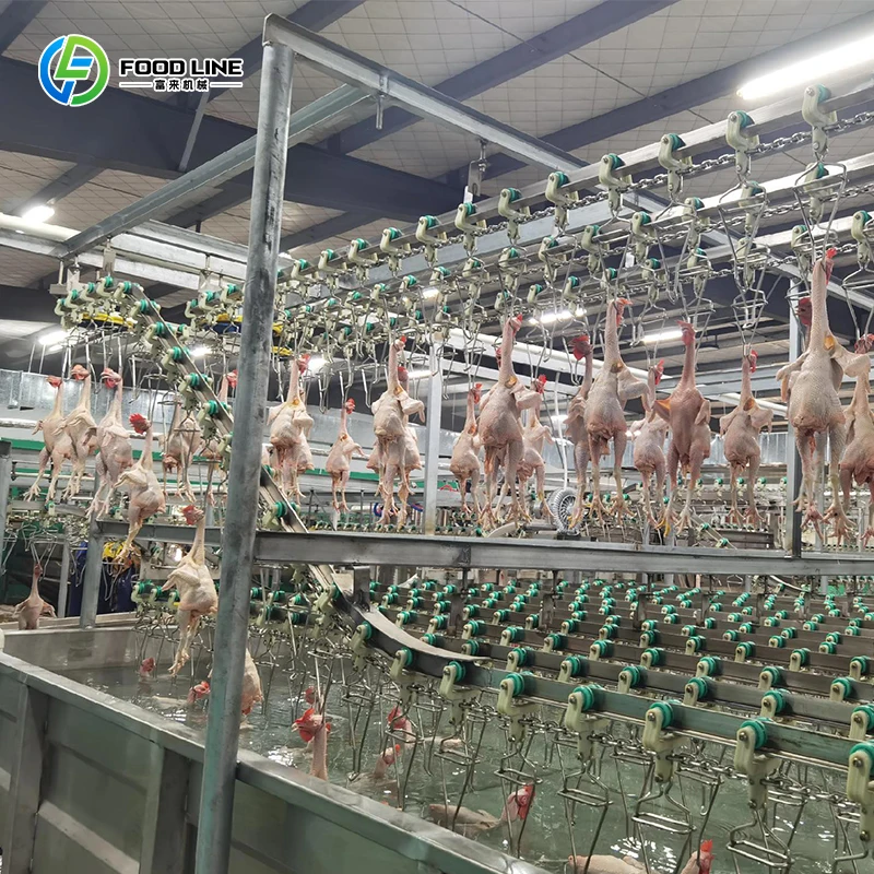 Automatic Halal Chicken Slaughter Line Slaughtering Machine for Poultry Farm Processing Equipment Custom