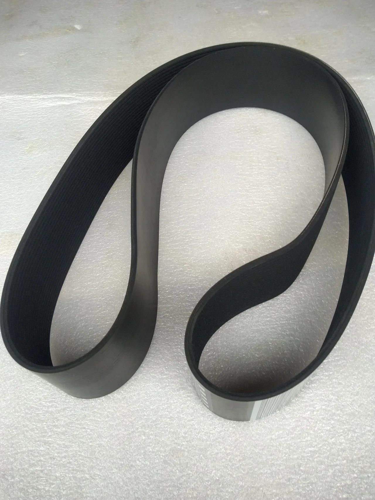 5413011 È adatto per la cinghia di un certo motore (5413011) Cintura a costine V KTA19GC QSK19G 5413011