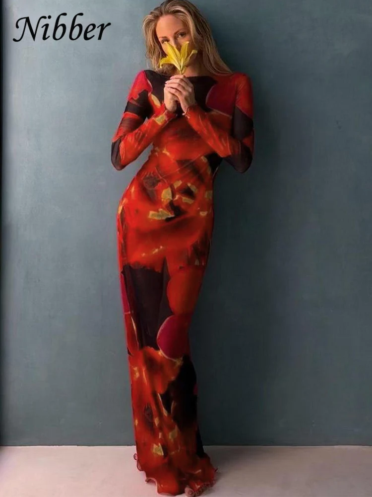 Nibber Colorful Print Dress Women Velvet See Through Skinny Full Sleeve Lace Hem Autumn Trend Stretch Casual Basic Long Bodycon