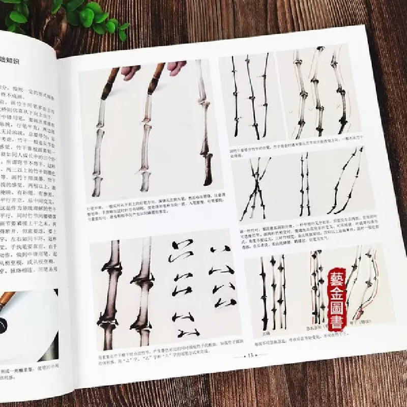 Chinese Bamboo Painting Tutorial Book | Xieyi Ink Wash Techniques | Step-by-Step Brushwork Guide