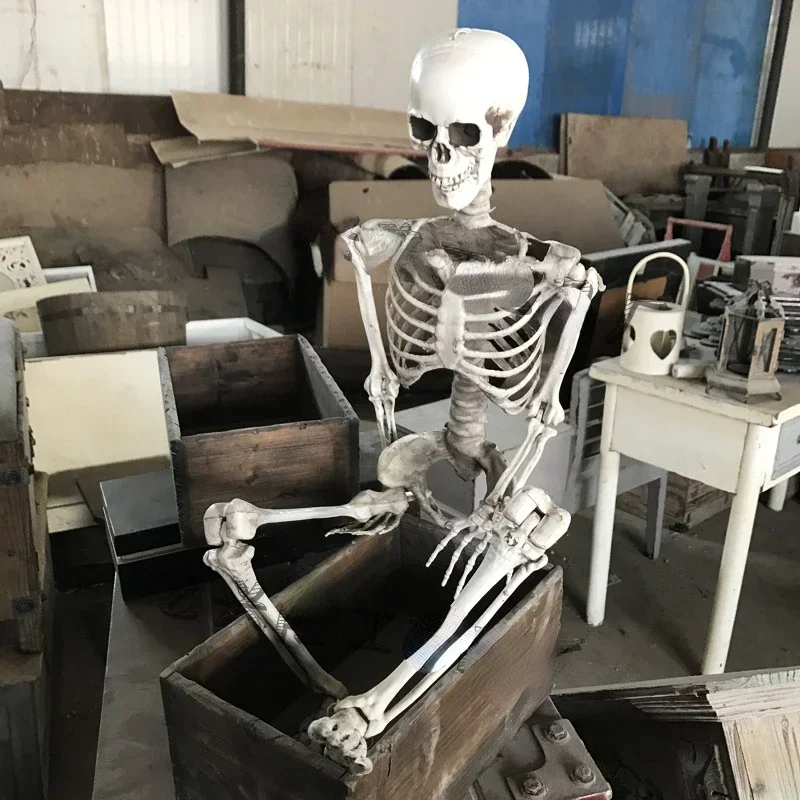 

Home Furniture Halloween Bar Haunted House Secret Room KTV Ornaments Cos Scene Plastic Skull Decoration Simulated Human Skull Pr