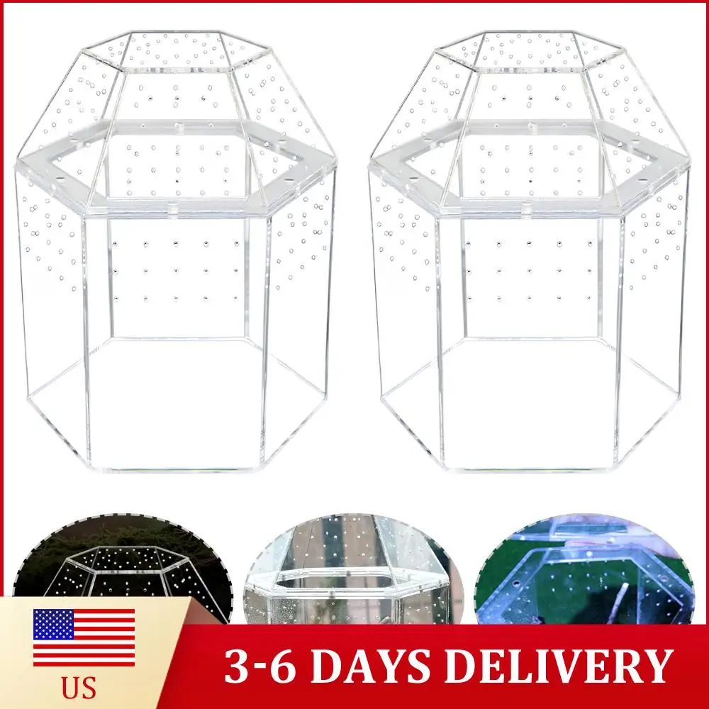 Jumping Spider Encl…