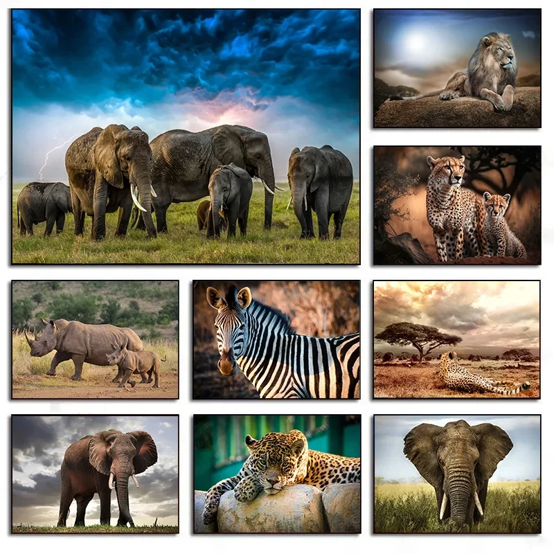 Photography Zebra - (بدون إطار) لوحة فنية على قماش