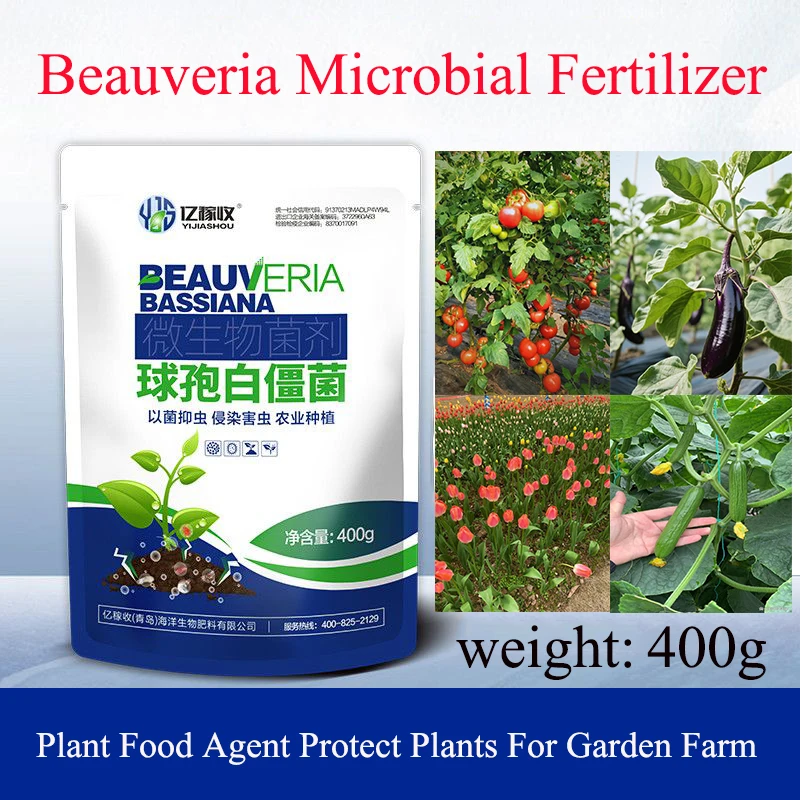Fertilizante microbiano Beauveria de una bolsa, fertilizante soluble en agua, protege las plantas, Fertilizante orgánico microbiano Beauveria Bassiana