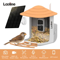 Caméra d'alimentation intelligente pour oiseaux avec panneau solaire, WiFi, sans fil, 1080P HD, caméra d'observation d'oiseaux, capture automatique, détection de mouvement, vidéos d'oiseaux,