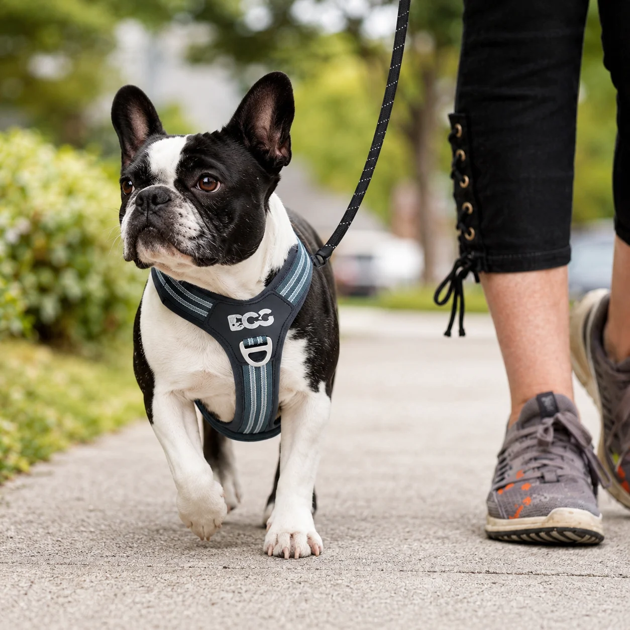 No Pull Dog Harness - Reflective Dog Harness Adjustable No Pull