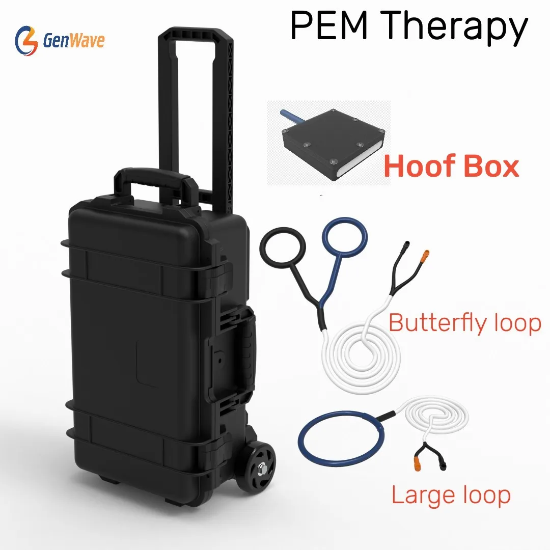 Equine PEMF Therapy Device PMST LOOP Hores Magnetic Physiotherapy Machine with Hoof Box Large Loop and Buttrfly Loop