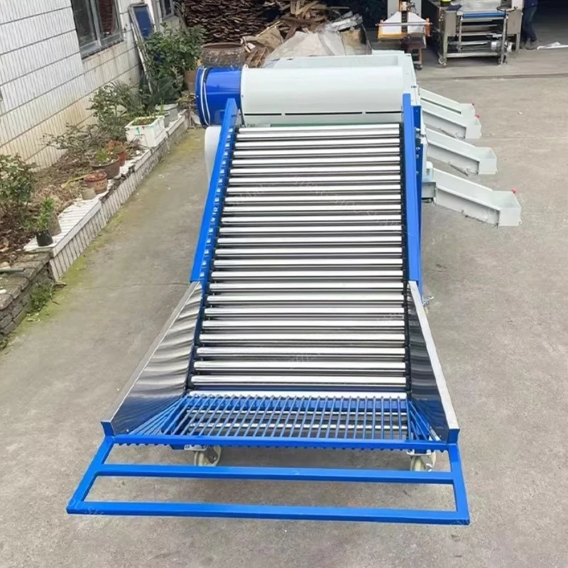 Roller Type Garlic Sorting Machine Automatic Garlic Size Grading Separator Processing Equipment Customized