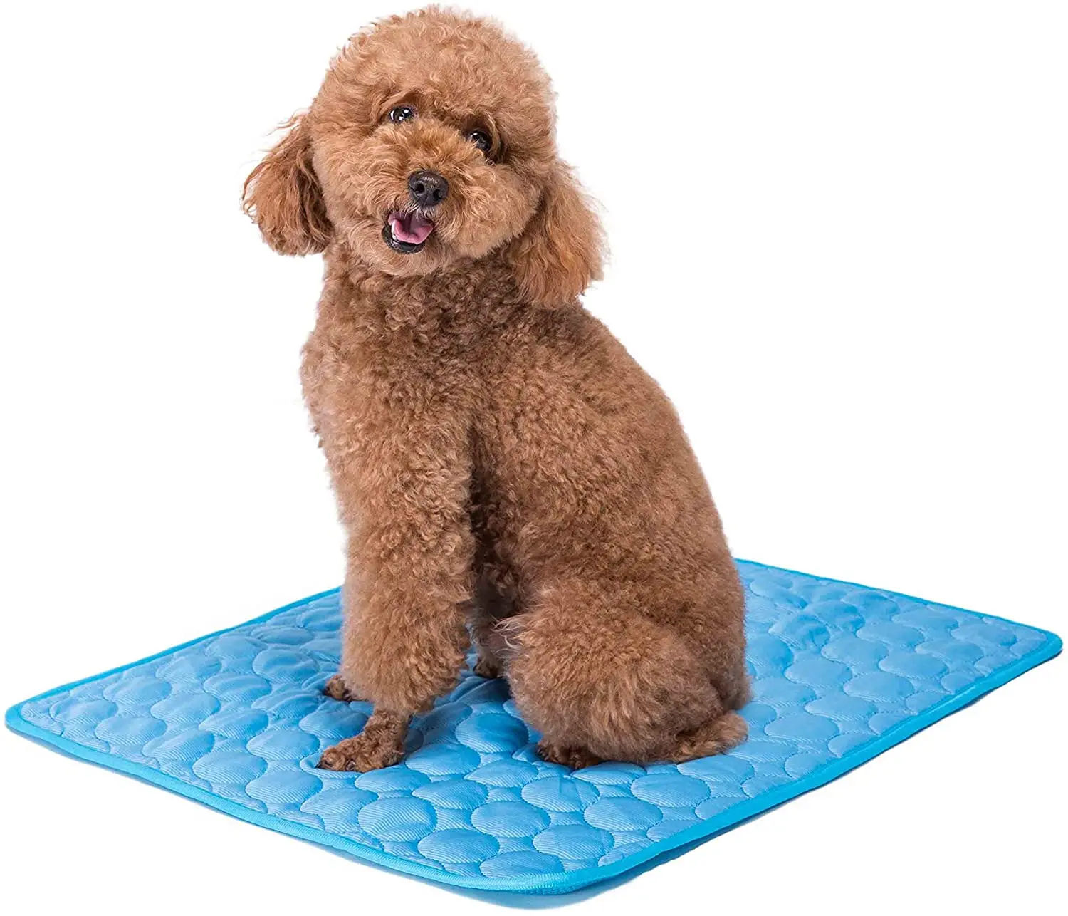 tapis-d'ete-auto-refroidissant-impermeable-pour-chien-et-chat-coussin-de-couchage-pour-animaux-de-compagnie-gel-active-par-pression-tapis-rafraichissant-pour-chiots-et-animaux-de-compagnie