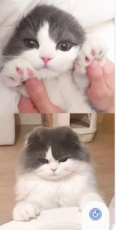 

Портативный термопринтер формата А4, бесчернильный Bluetooth A4, принтер для мобильного телефона с печатью, принтер для документов, для офисной работы, дома