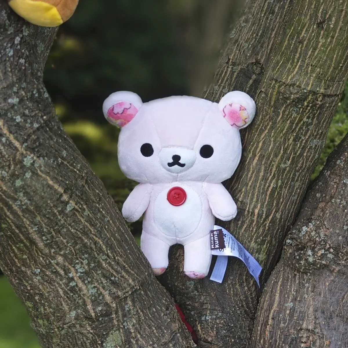 Cute Rilakkuma Pink Sakura Series Korilakkuma Bear With Cherry Blossoms Plush Stuffed Baby Kids Toy Doll Girls Gifts 20cm