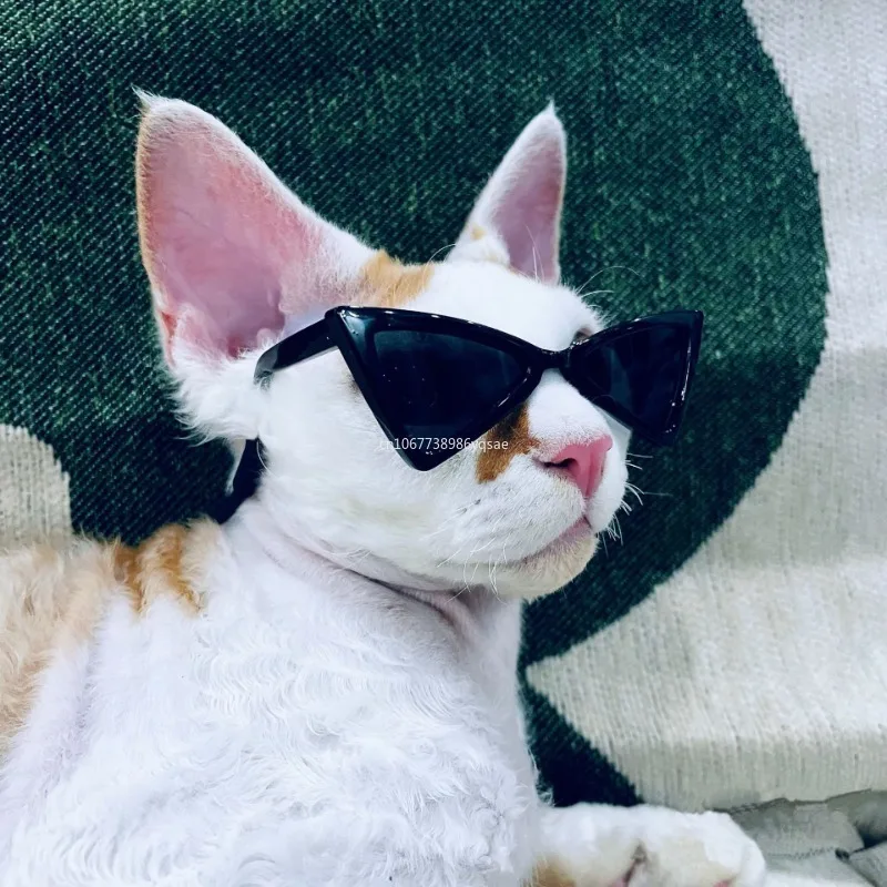 Pet Products Lovely Vintage Triangle Cat Sunglasses Reflection Eye Wear Glasses for Small Dog Cat Pets Photos Props Accessories