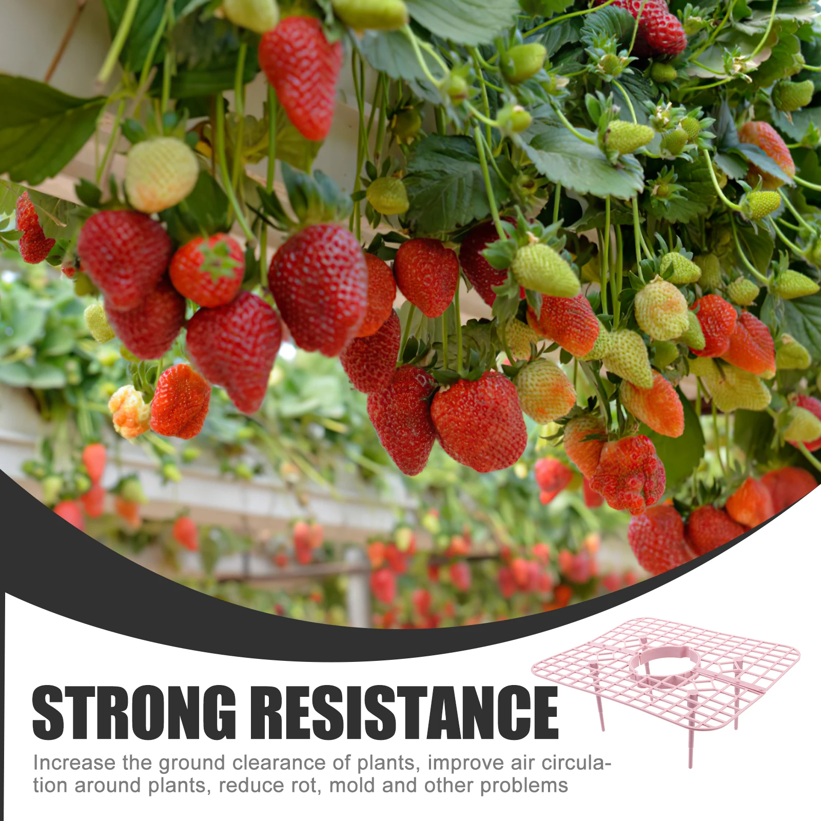 

4pcs Strawberry Cultivation Rack Plastic Plant Stand for Small Plants Air Circulation Support Growing Frame for Strawberries