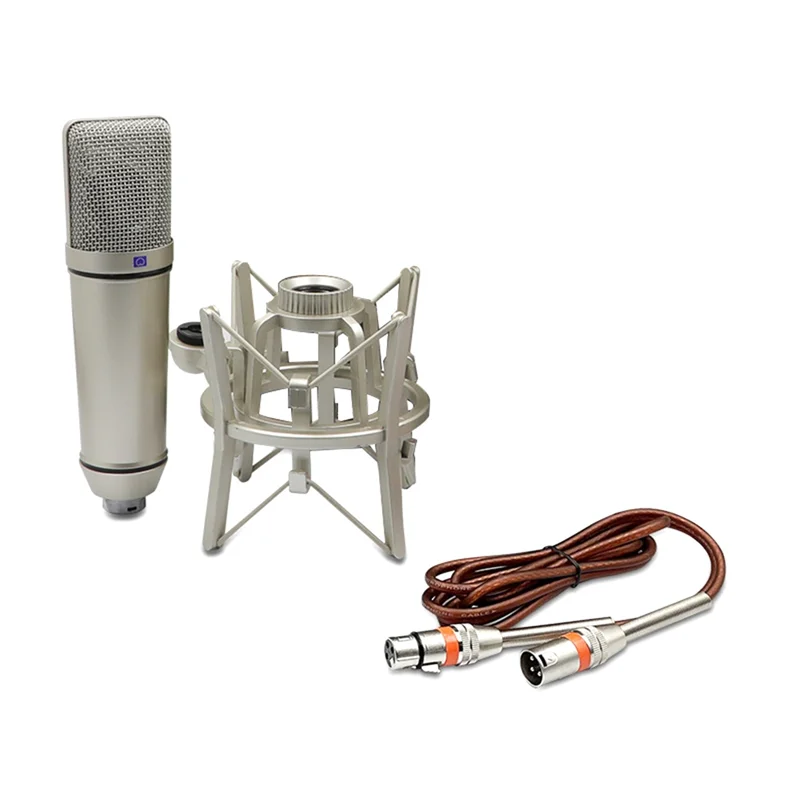 

-A20Z Condenser Microphone Professional Cardioid Studio Mic For Recording Podcasting Voice Over Streaming Home Studio