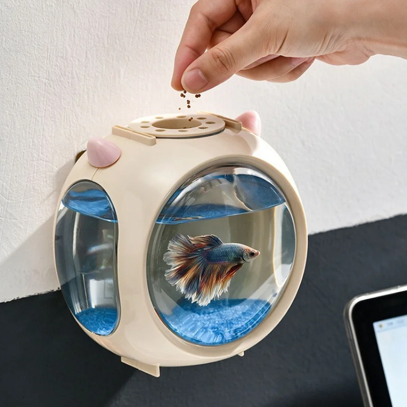 حوض سمك لطيف مع إضاءة، تصميم إ - مراجعة Betta Fish Tank وسعره